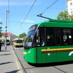 Louvorzão 93