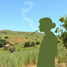 projeto de combate ao tabagismo